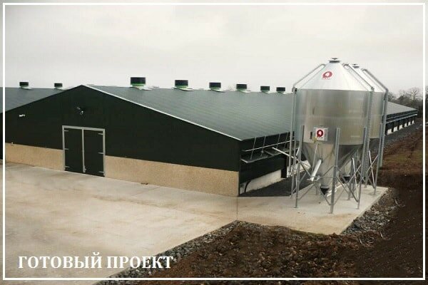 Этапы возведения птицефабрики от завода ВелесТент-млг
